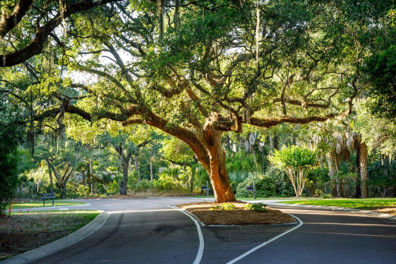 1314 Pelican Watch - Seabrook Island - Beachfront 5 Star Condo - Fido Friendly Ngoại thất bức ảnh