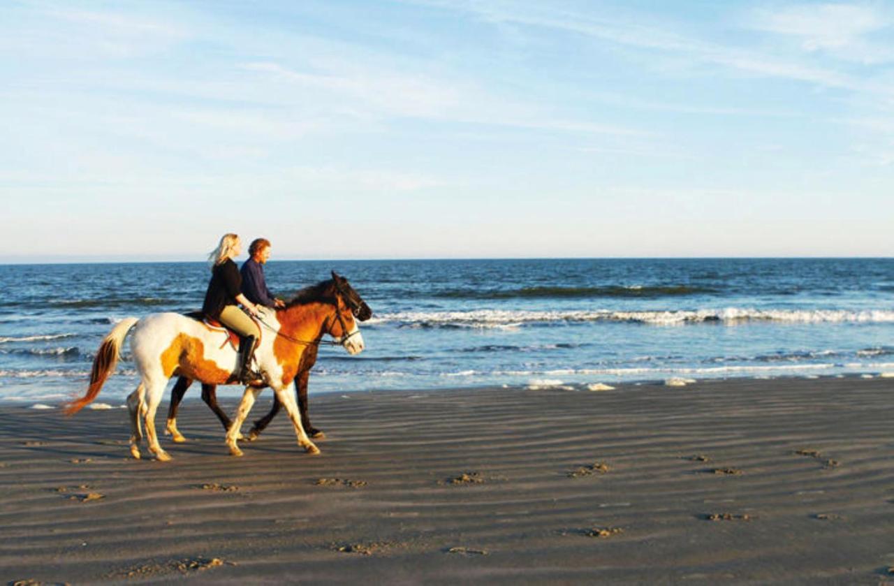 1314 Pelican Watch - Seabrook Island - Beachfront 5 Star Condo - Fido Friendly Ngoại thất bức ảnh